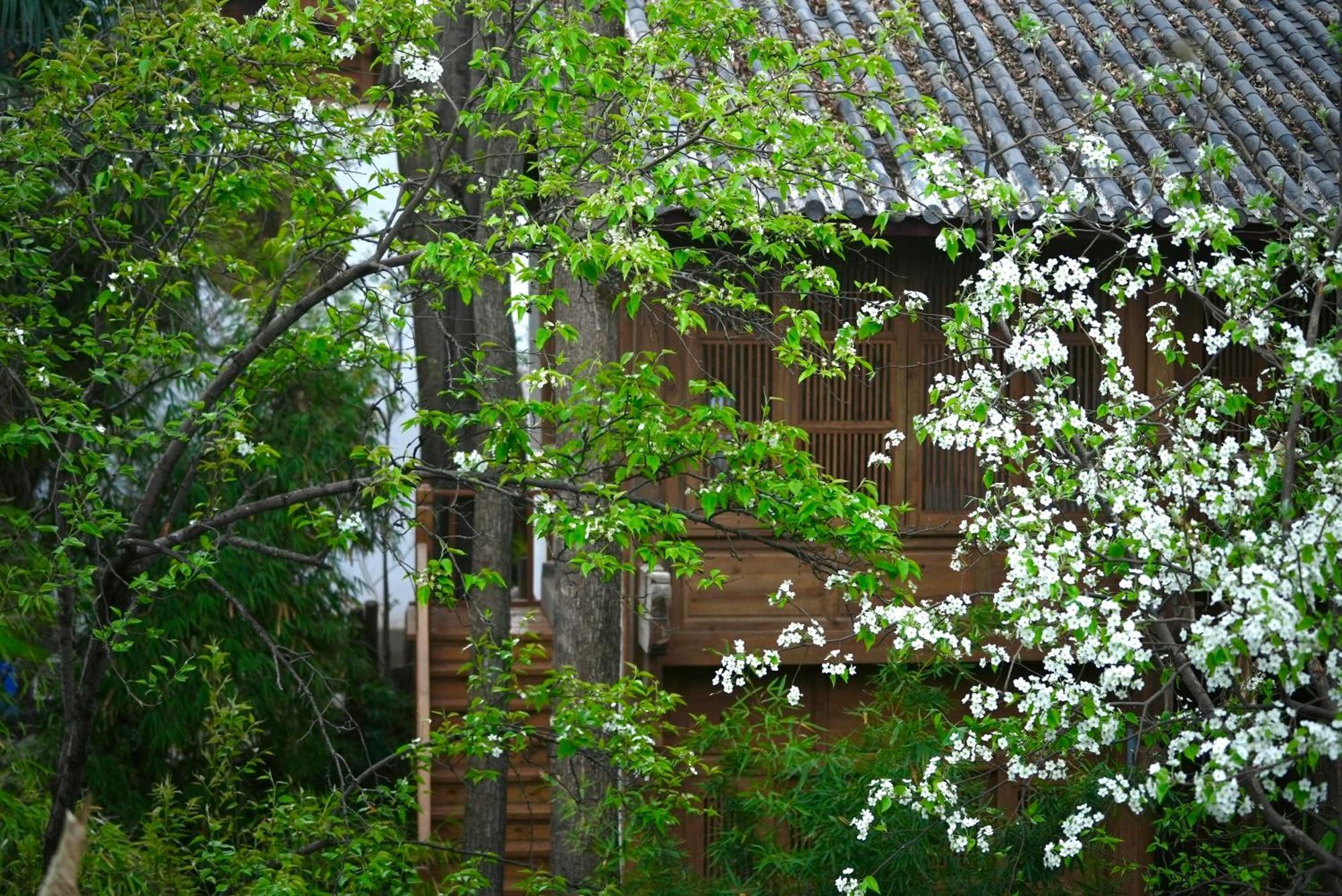 Apartmán 吾爱堂 Li-ťiang Exteriér fotografie
