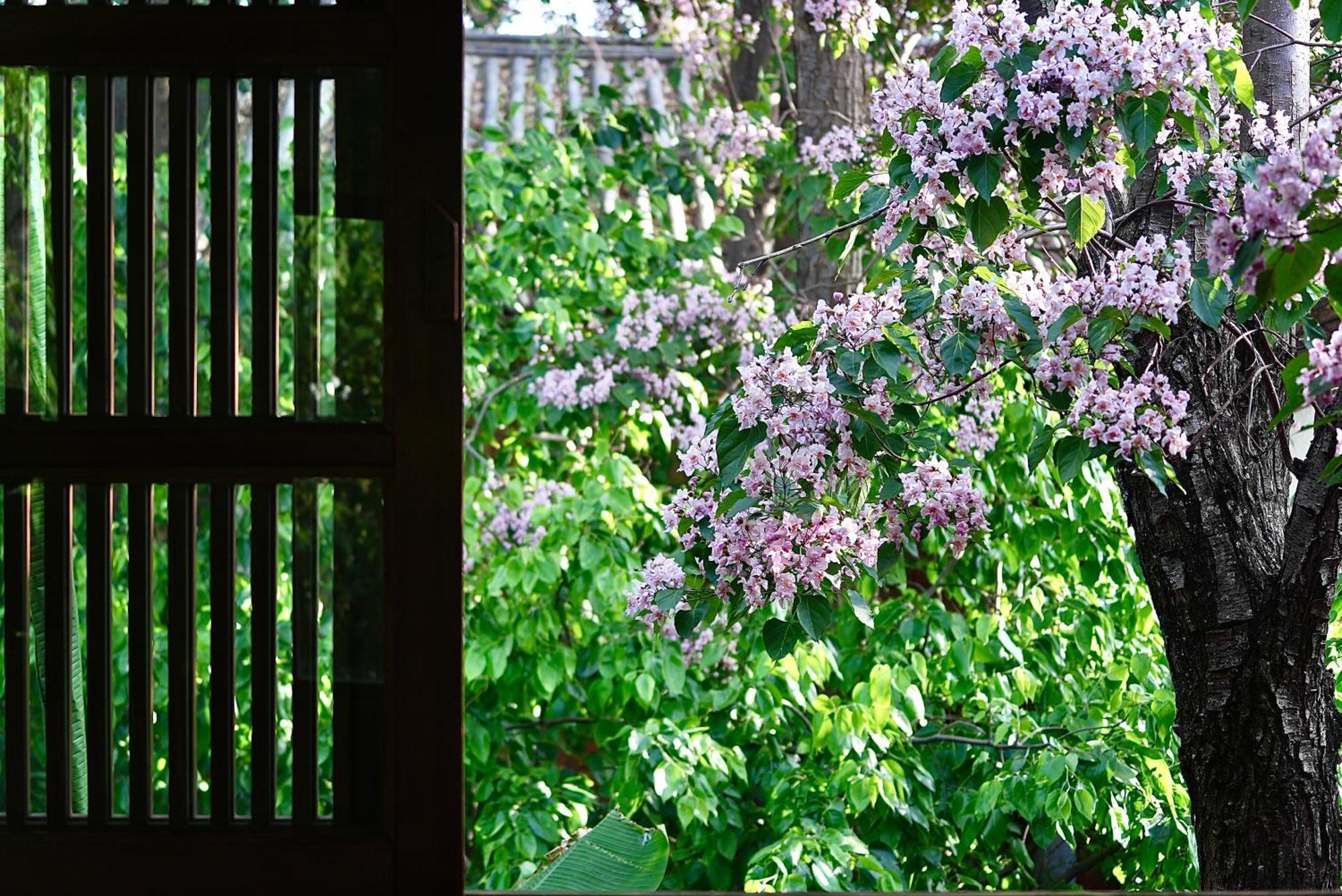 Apartmán 吾爱堂 Li-ťiang Exteriér fotografie